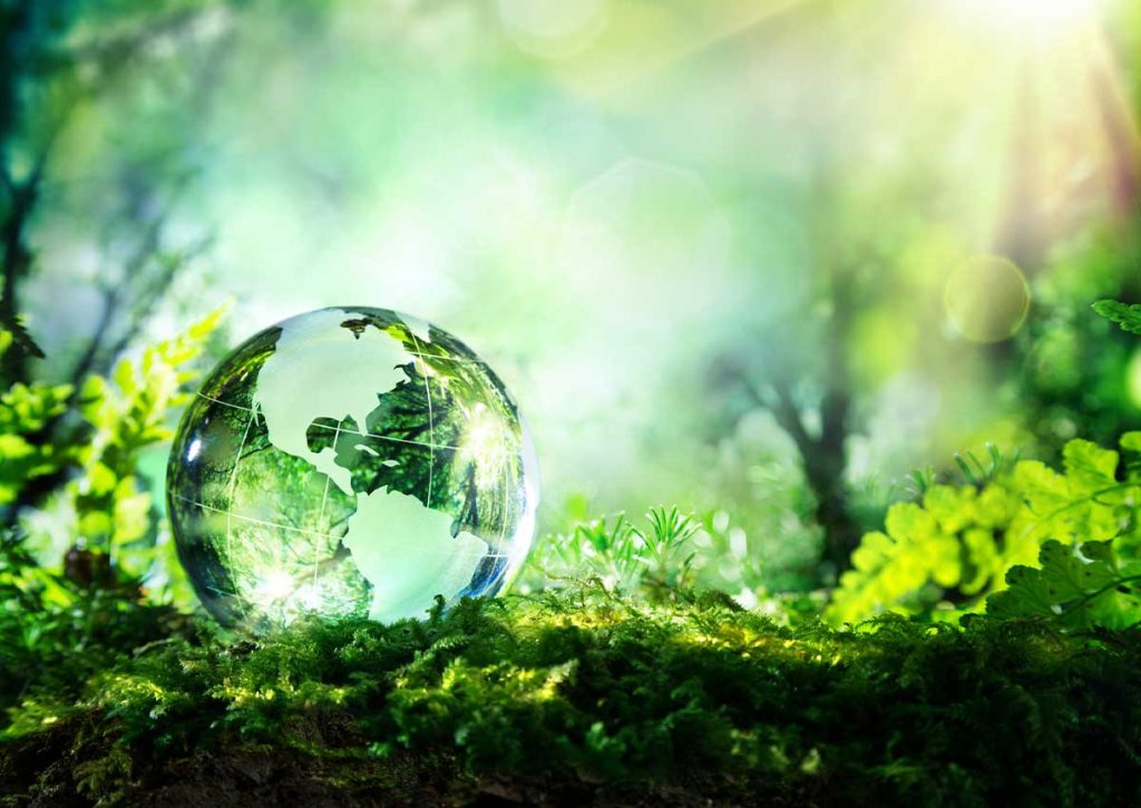 Organiser des événements écologiques : idées pour un impact environnemental réduit